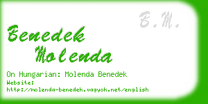 benedek molenda business card
